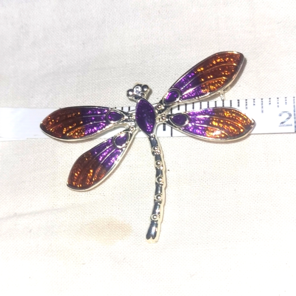 Beautiful Dragonfly Brooch.